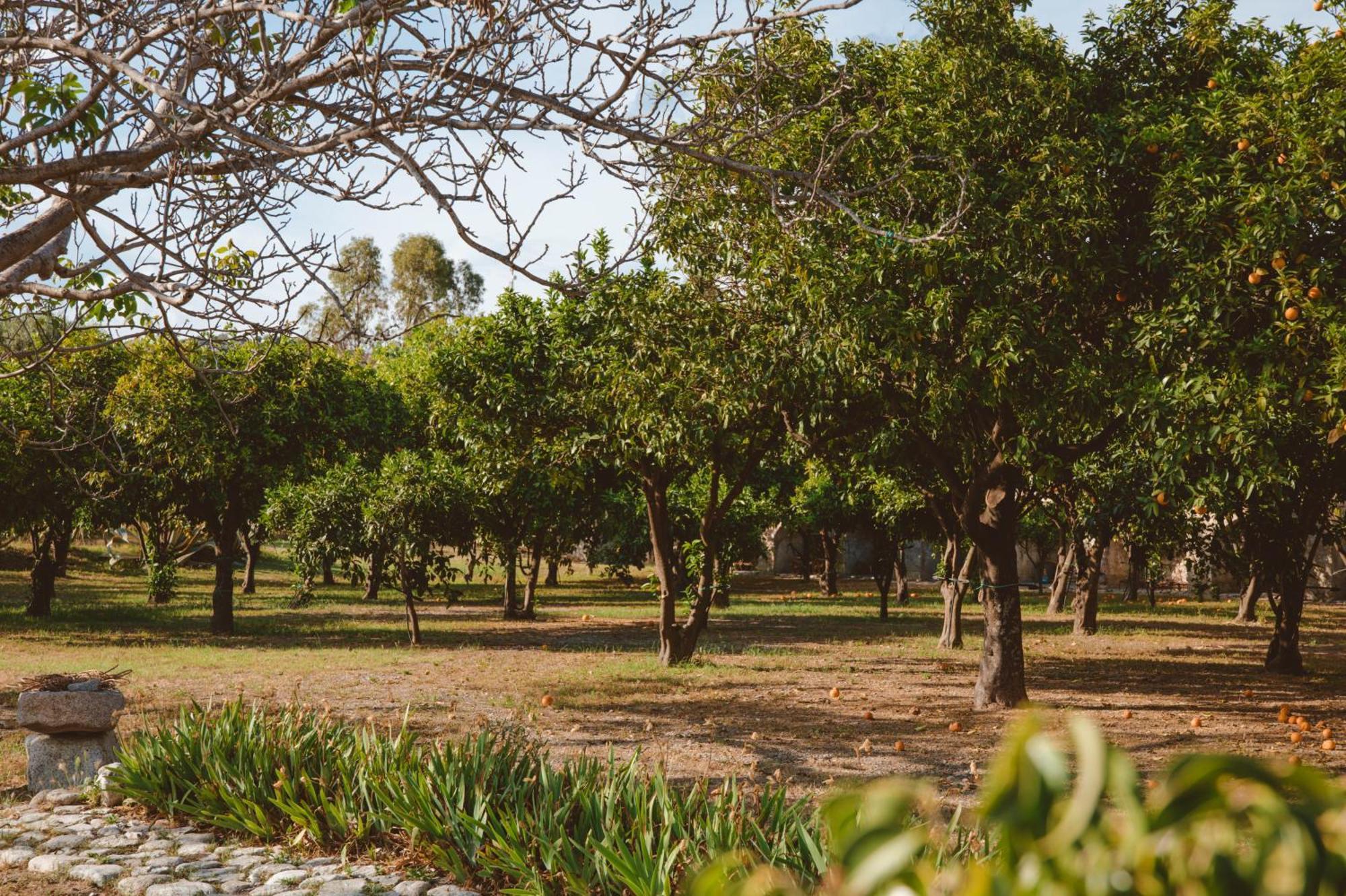 Agriturismo Villa Vittoria Guardavalle Bagian luar foto