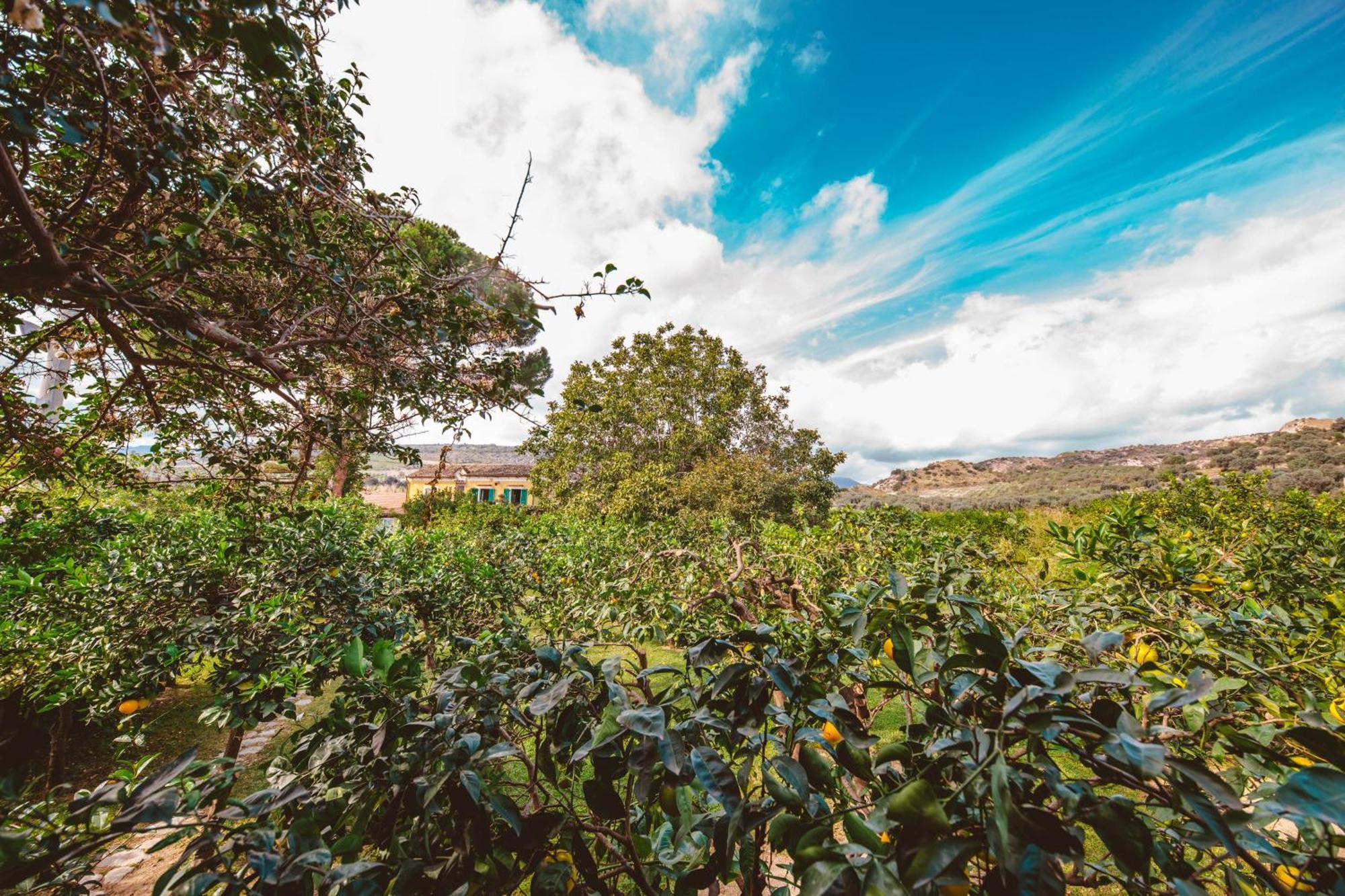 Agriturismo Villa Vittoria Guardavalle Bagian luar foto