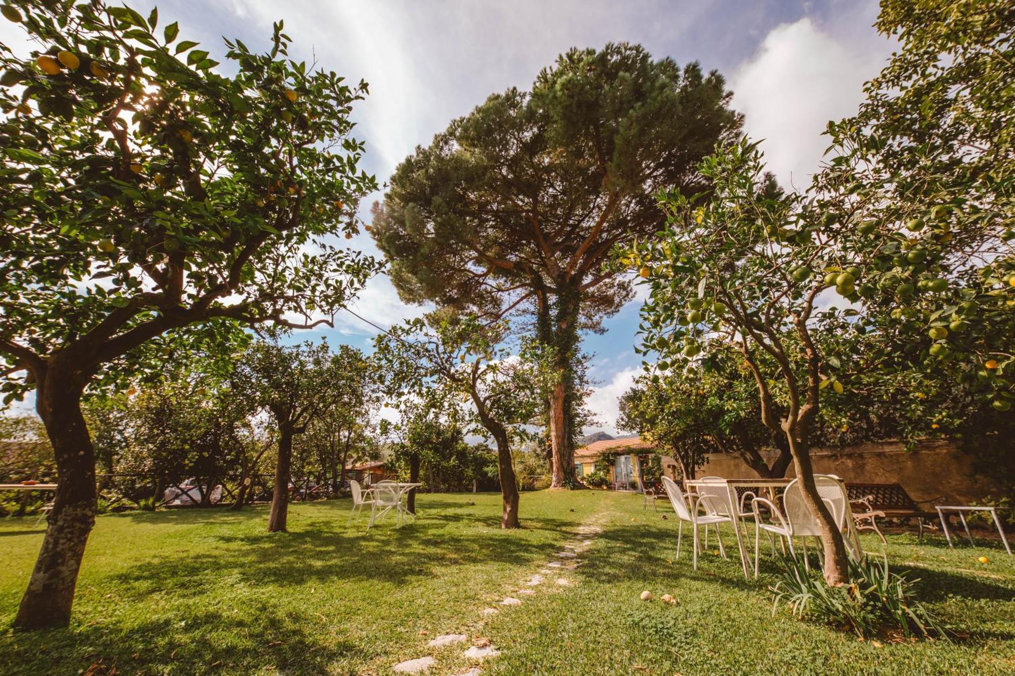 Agriturismo Villa Vittoria Guardavalle Bagian luar foto